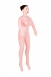Большегрудая куколка с реалистичной вагиной Dolls X4