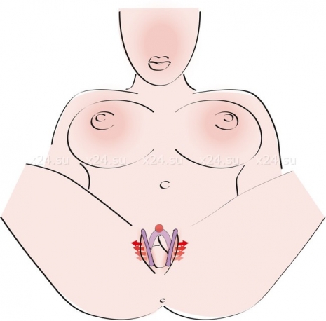 Вагинальная распорка Intimate Spreader