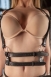 Портупея из натуральной кожи Фити Passion Belts0