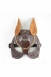 Кожаная маска кошки с золотистым украшением Harness Cat Mask0