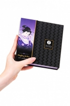 Шаловливый набор Гейши Naughty Geisha (10 режимов вибрации)