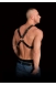 Мужская сбруя-портупея Harness Adonis серии OUCH!1