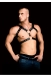 Мужская сбруя (портупея) Harness Andreas Ouch!2