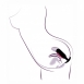 Анальный стимулятор Black Velvets Anal Trainer Medium (194 г)4