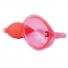 Вагинальная помпа с большой чашей Vaginal Pump with 5'' Large Cup1