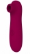 Вакуумный стимулятор клитора Take it easy Ace Wine (10 режимов)2