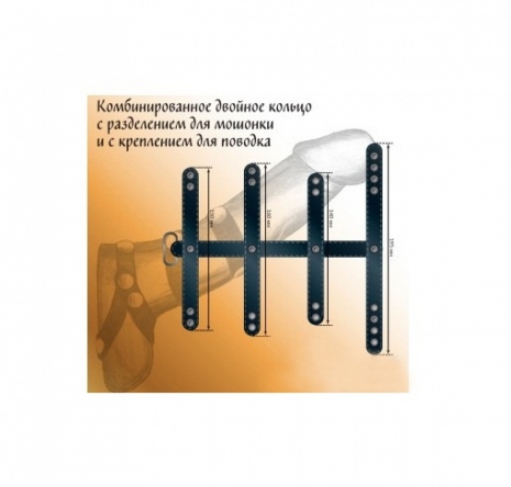 Комбинированное двойное кольцо с разделением для мошонки и с креплением для поводка