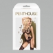 Комбинезон с имитацией чулок и боди Penthouse Wild Virus SL2