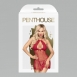 Красный пеньюар с трусиками Penthouse Libido boost ML2