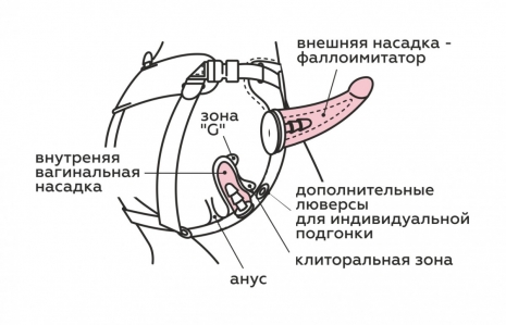 Страпон-трусики с двумя насадками Woman Midi